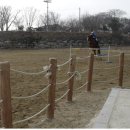 나불도 승마랜드 이미지