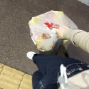 빽보이피자 산본시장점 | 빽보이피자 산본시장점 방문주문한 후기+포장시 서비스/가격/메뉴