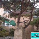 대명대길11번길 이미지