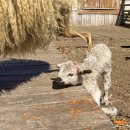 루키목장 이미지