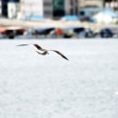 고은피부과의원 이미지