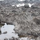 제주 올레길 4코스 이미지