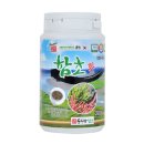 진짜배기 이미지