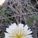 장기 산골농장 이미지