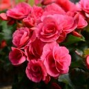 금광2차 이미지