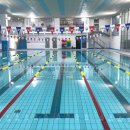 동아수영장 이미지