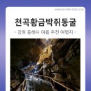 동해송정동철기시대유적 | 230518 - 천곡황금박쥐동굴(동해 여름 추천 여행지)