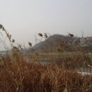 한강변 ㉙천변산책(川邊散策, 2013/01/13) 이미지