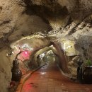 카페15도 이미지