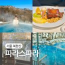 파라스파라 서울 호텔 수영장 우디플레이트 조식 루프탑 자쿠지 캐빈룸 후기