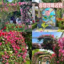 5월 22일 (수) 중량 장미공원 오전 7시 이미지