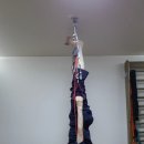 소마통합운동센터