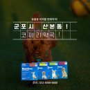 코끼리 동물약국 이미지