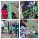 참살이힐링펜션