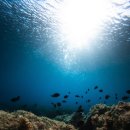 선유펜션 이미지