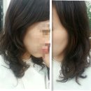 블랑쉬노엘 이미지