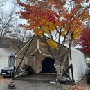 가평군농업협동조합 | 서울근교글램핑추천 가평더플래츠글램핑: 아트존후기 글램핑장 근처 마트 카페