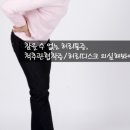 본정형운동