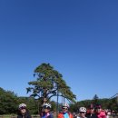 솔뫼골식당 이미지