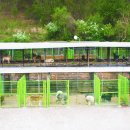 대형견프리미엄아울렛 이미지