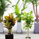 고거식당 이미지