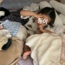 육일분식 이미지
