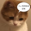 전포배수지 | 갑자기 블로그를 .. ?