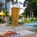 펠리스스낵 이미지