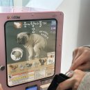 고고하개 | 오타쿠들의 성지 국제전자센터