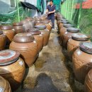 복내마을 영농조합법인 이미지