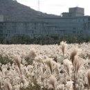 한화리조트제주 이미지