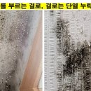 세기광고페인트 이미지