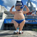 제3회 연극페스티벌 <화염> | 흠뻑쇼 N회차 프로참석러의 흠뻑쇼 모음집이자 꿀팁 대방출(대구, 광주, 과천)