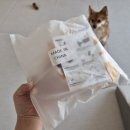 주니버스 | 강아지 장난감 내구성 좋은 주니버스 터그볼 중형견 댕댕볼 추천