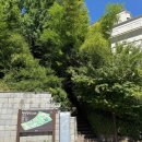 죽전중앙(배수지)근린공원 | 산책하기 좋은 죽전중앙공원 걷기 코스 - 도심속 숲속길