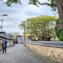 승구농장 티스토리