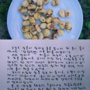 개구리의 엽서 2192/밤탈피기 사용 후기 이미지