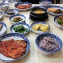 우리네코다리 이미지