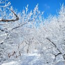 융프라우 이미지