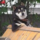 (주)두미래