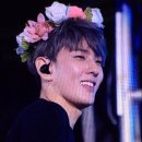 바비헤어 이미지