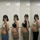 글랑하우스인애월 | [임신일기] 32-36w. 부지런히 돌아다니자!❤️ (feat.둘리)