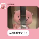 원조마포구이 네이버블로그