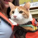 상암 진 동물의료센터 이미지