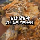 영천 돌메기 매운탕 | 경산 정평동 동네 맛집! 사철 보양식으로 좋은 영천돌메기매운탕