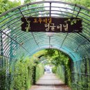 도두리길 이미지