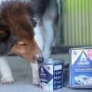 (주)엔터아인스 이미지