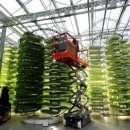 대도시빌딩 이미지