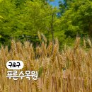 천왕숲어린이집 | 구로 푸른수목원 항동철길은 서울시민처럼 하루를 보낼 수 있는 곳