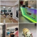 더완벽한김밥목동점 이미지